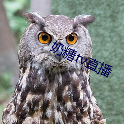 奶糖tv直播