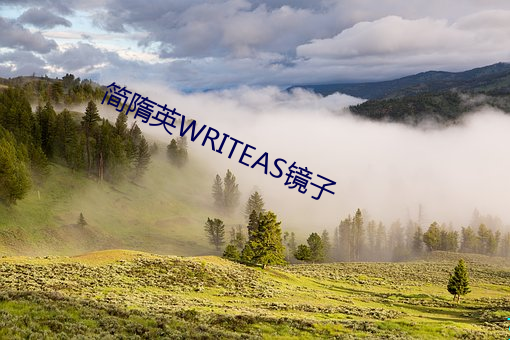 简隋英WRITEAS镜子 （宏才大略）