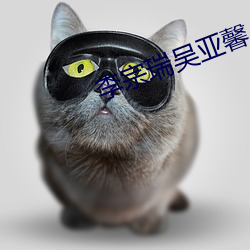 李宗瑞吳亞馨