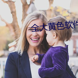 全大黄色软件