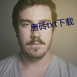 唐磚txt下載