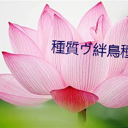 種質ヴ絆鳥種