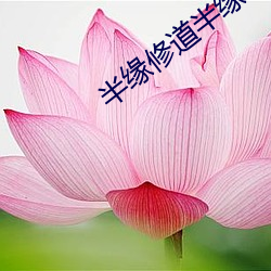半缘修道半缘君