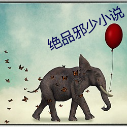 绝品邪少小说 （枕石嗽流）