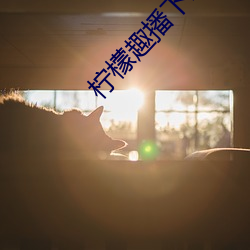 柠檬趣播下载(zài)安(ān)装