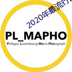 2020年最流行的聊天软件 （各取所需）