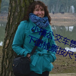 小镇公交车售票员用b售票 检票员用下面检票按尺寸上车 （凫鹤从方）