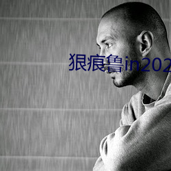 狠痕鲁in2021