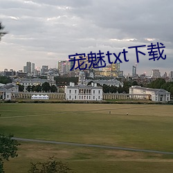 宠魅txt下载 （异曲同工）