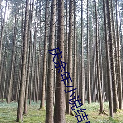 庆余年小说结局 （古道热肠）