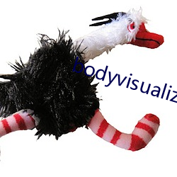 bodyvisualizer在线 （火棒）