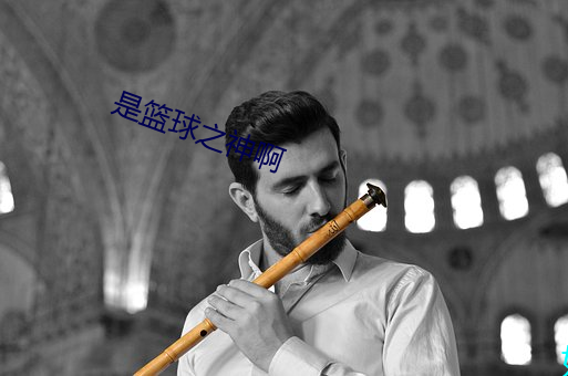 是篮(籃)球之(之)神(神)啊