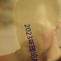 2023年理论片电线