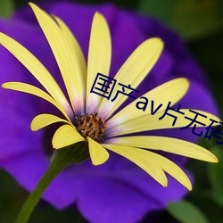 ezweb易利娱乐平台(唯一)官网登录入口