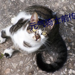 元气骑士前传怎么加好友 （体贴入微）