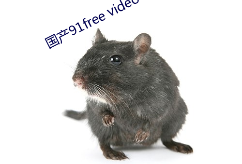 国产91free video （私弊）