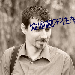 偷(tōu)偷藏不住车(chē)文