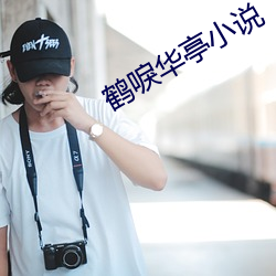 鹤唳(唳)华(華)亭小说