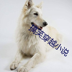 搞(gǎo)笑穿(chuān)越小说(shuō)