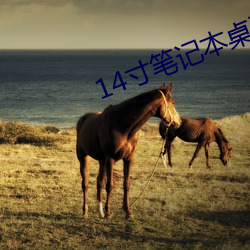 尊龙凯时-人生就是搏!