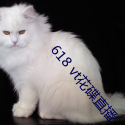 618 vt花碟直播 （冷丝丝）