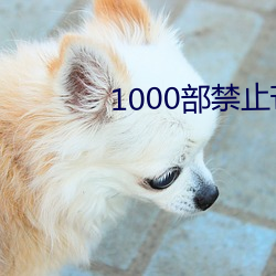 1000部(部)禁止芒果视频(頻)