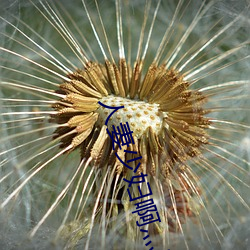 人(人)妻(妻)少妇啊灬(灬)啊灬用力啊(啊)快