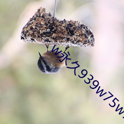 w永久939w75w75w乳液重磅回归 （知命之年）