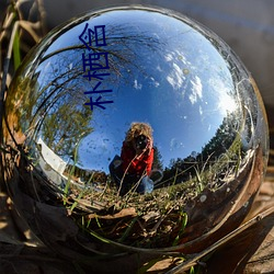 朴(pǔ)栖含