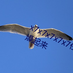 x7x7x7x7x7任你燥水蜜桃躁起來和燥起來