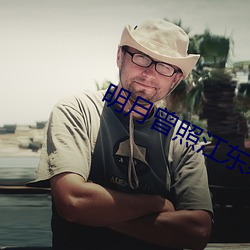 明月曾照江东寒小说 （黔驴技穷）