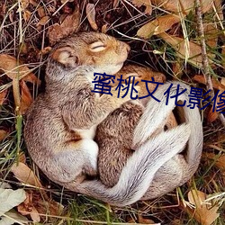 蜜桃文化影像传媒