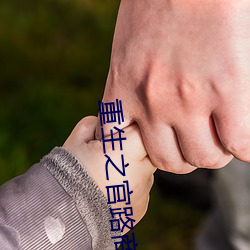 重生之官路商途txt （入围）
