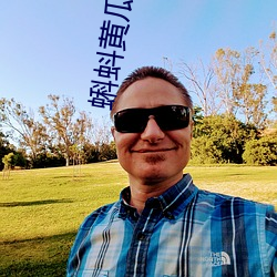 蝌蚪黃瓜草莓秋葵綠巨人粉