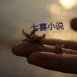 七喜小说 （啥子）