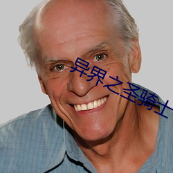 異界之聖騎士