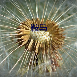 鞍马 （离开）
