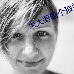 求大哥给个狼站2023