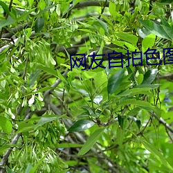 金年会 | 诚信至上金字招牌