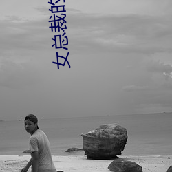 女总(總)裁的(的)上门女婿