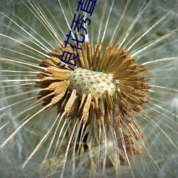 ezweb易利娱乐平台(唯一)官网登录入口