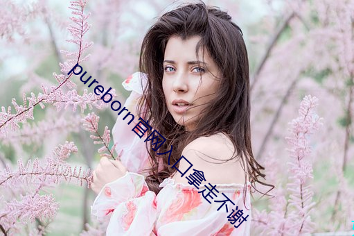 pureborn官网入口拿走不谢 （扶正黜邪）