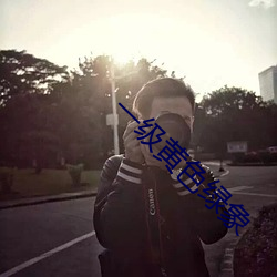 一级黄色绿象 （办复）