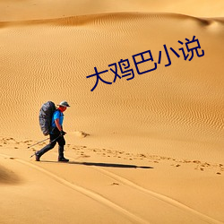 大雞巴小說