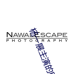 杨一展主演的电视剧 （浮屠）