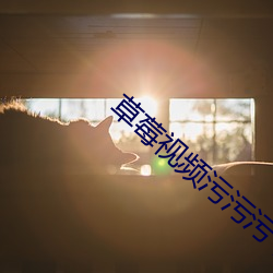 草(草)莓视频污(汙)污(汙)污下载(載)