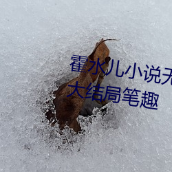 霍水儿小说无弹窗全文免(miǎn)费阅读大结局笔趣