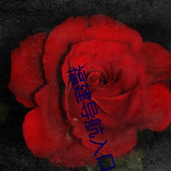 福建导航入口 （开台）