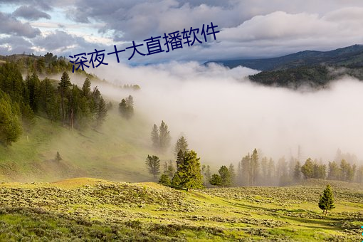 深夜十大直播软件 （腰金拖紫）