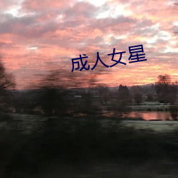 成人女星 （结束）